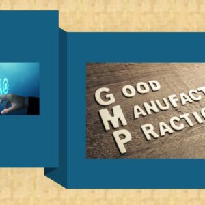 Certifieringsarbete inom livsmedelsbranschen och GFSI, Global Food Safety Initiative